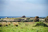 Selinunte Acropolis. Distant view of Temple C 